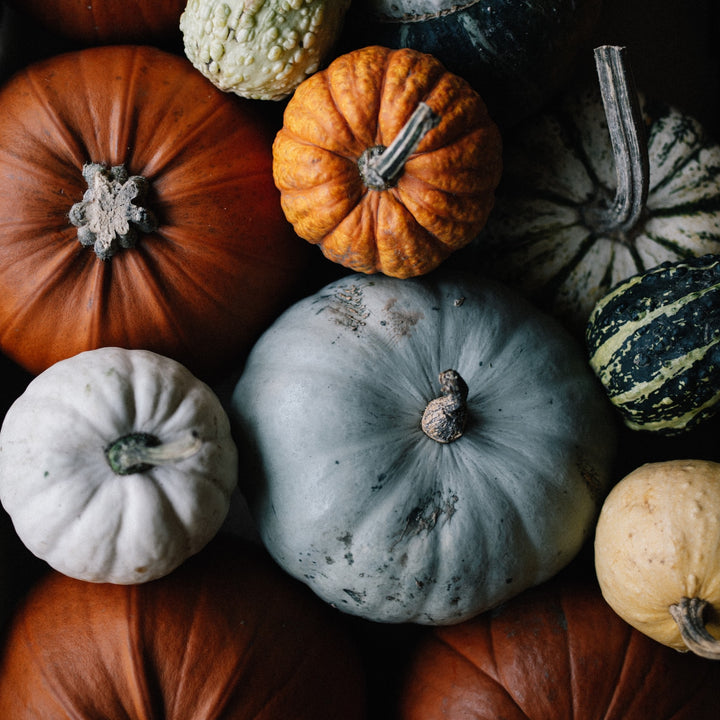 5 Ways to Transition into Fall & Winter with Less Waste