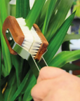 Plant Brush