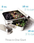 3-in-1 Lunch Container