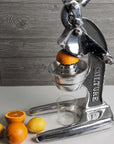 Artisan Citrus Juicer - Large