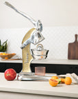 Artisan Citrus Juicer - Large