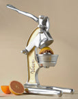 Artisan Citrus Juicer - Large