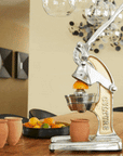 Artisan Citrus Juicer - Large