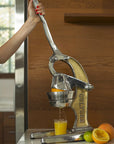 Artisan Citrus Juicer - Large