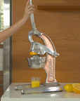 Artisan Citrus Juicer - Large