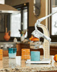 Artisan Citrus Juicer - Small