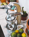 Artisan Citrus Juicer - Small