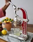 Artisan Citrus Juicer - Small