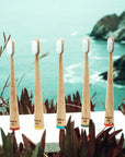 Kids Bamboo Toothbrush
