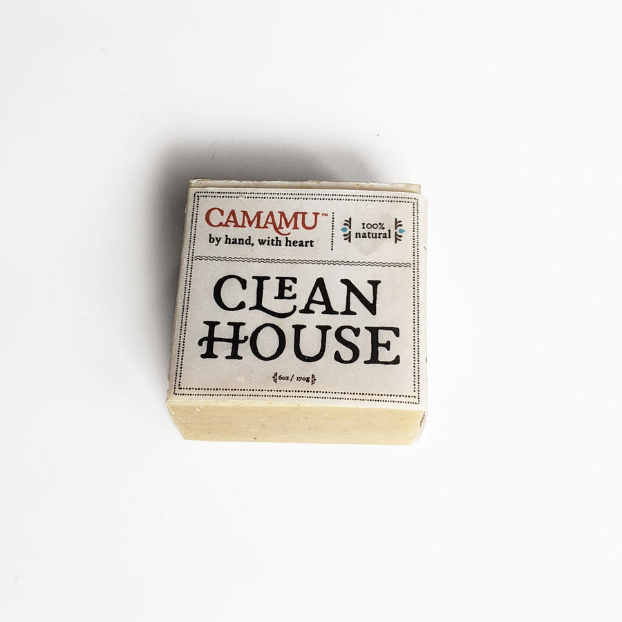 clean house soap