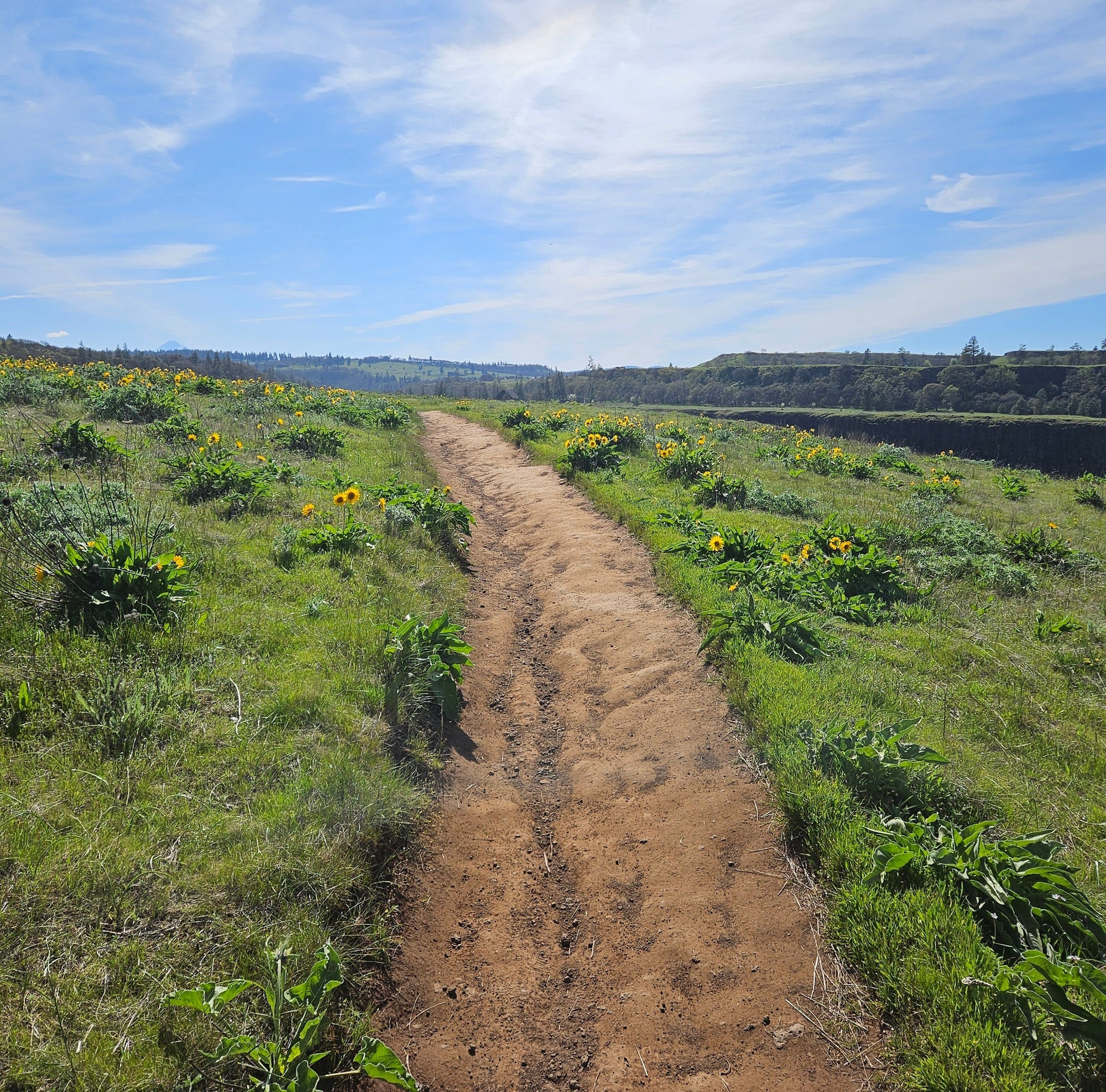 21 Ideas for a Slower, More Analog Way of Being