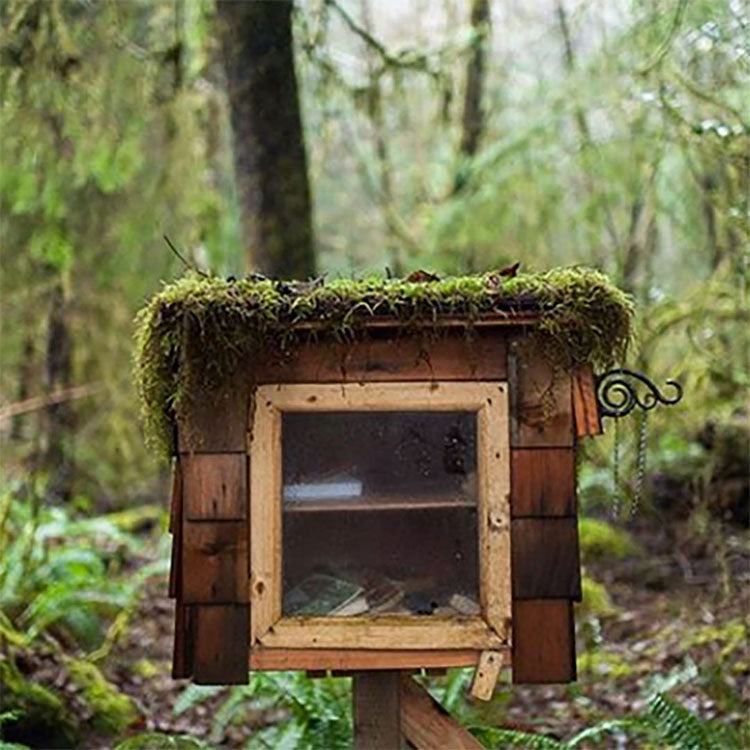 Little Free Library