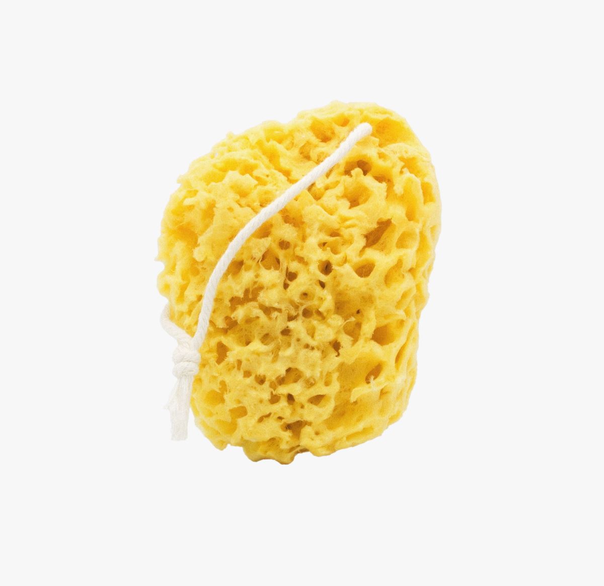 Mineral Sea Sponge