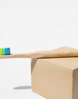 rainbow bamboo toothbrush