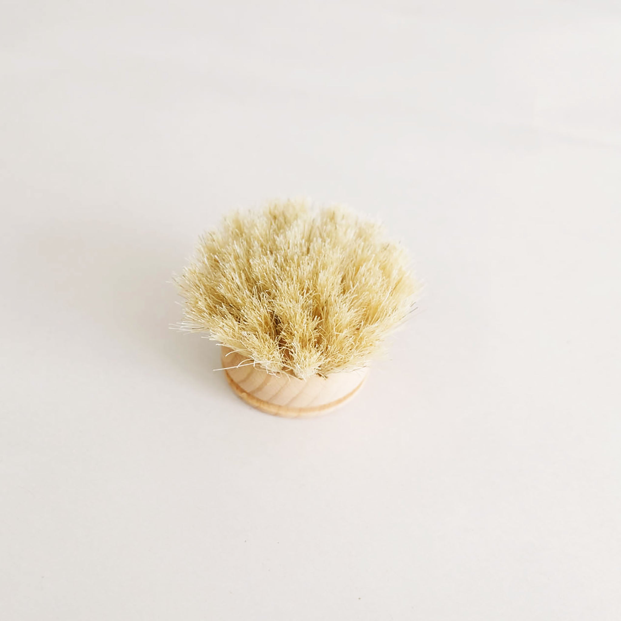 Everyday Dish Brush Replacement Head - Thumbnail 5