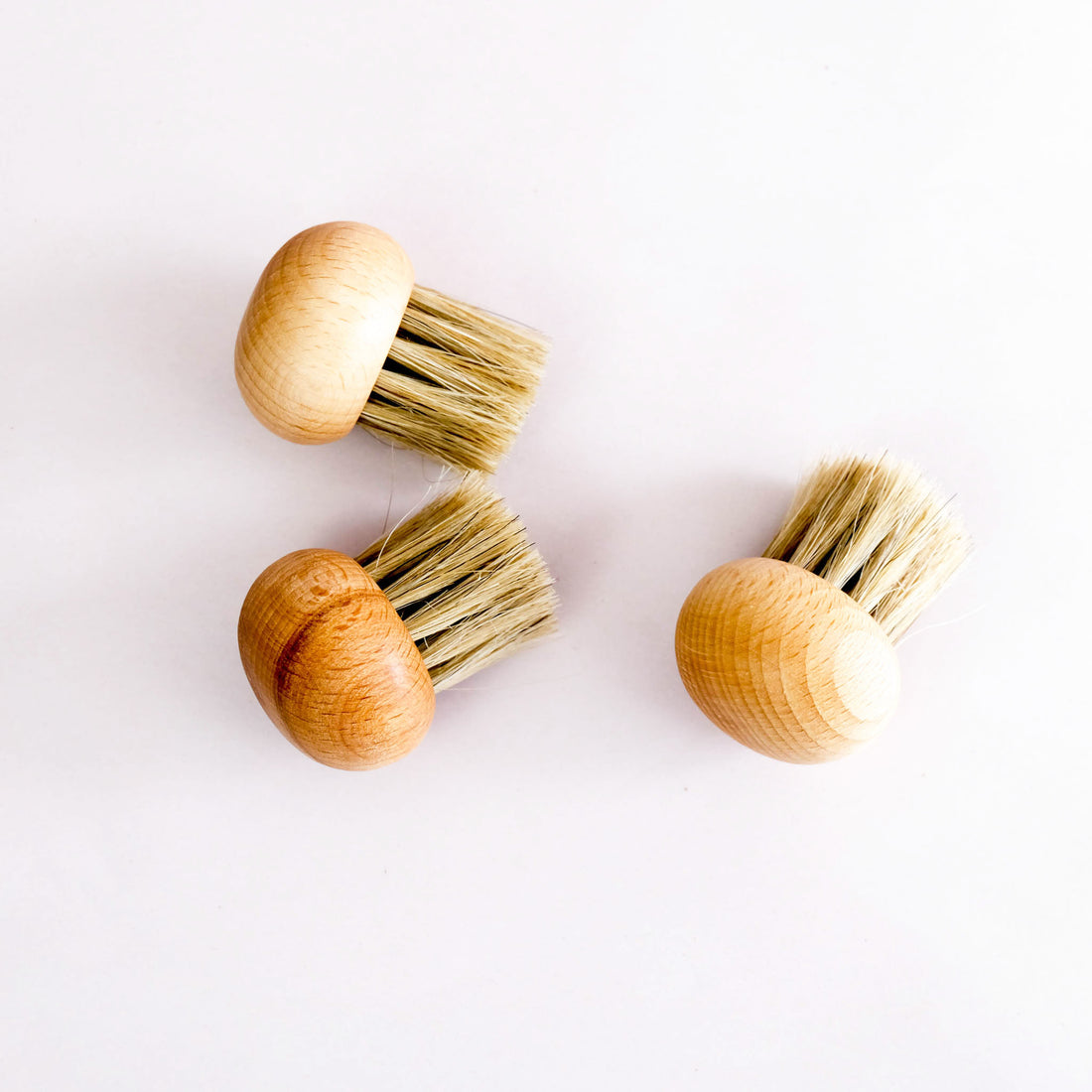 mushroom brushes