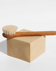 dry facial brush