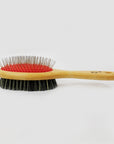 dog brush