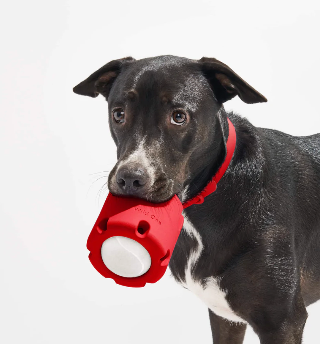 KONG Wobbler Treat Dispensing Dog Toy 